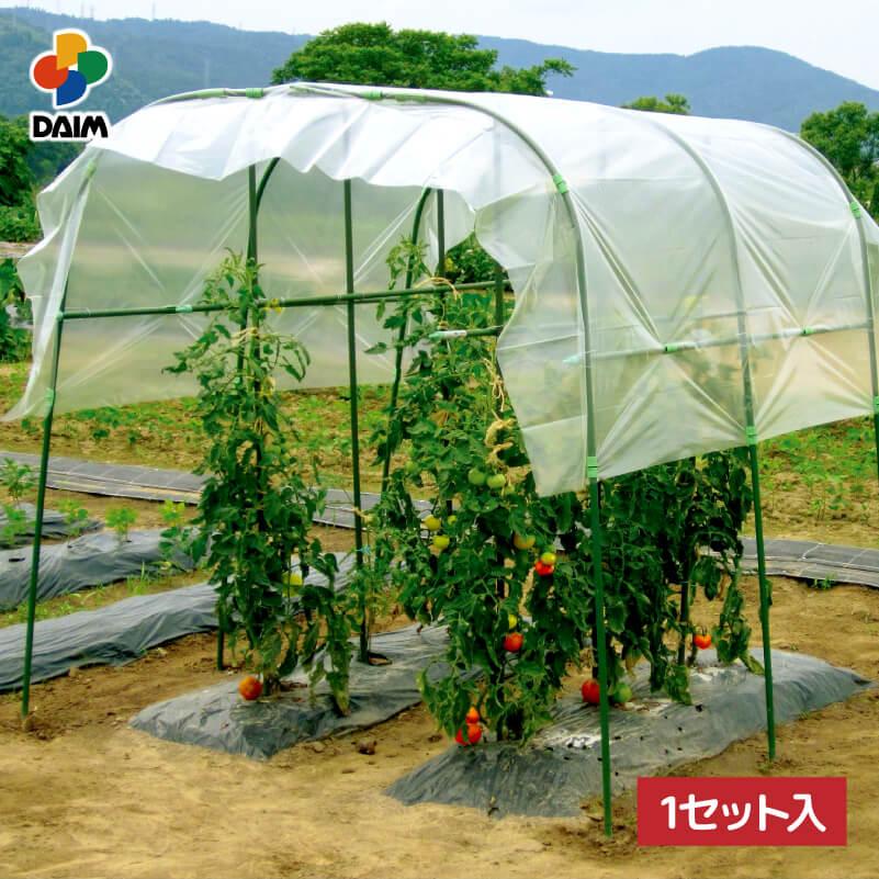 daim 家庭菜園用 雨よけセット ワイドタイプ 間口190cm トマト 雨よけ 小型 トマトの雨よけ セット 雨除け 雨除けセット 雨よけハウス 園芸 支柱 第一ビニール の商品画像
