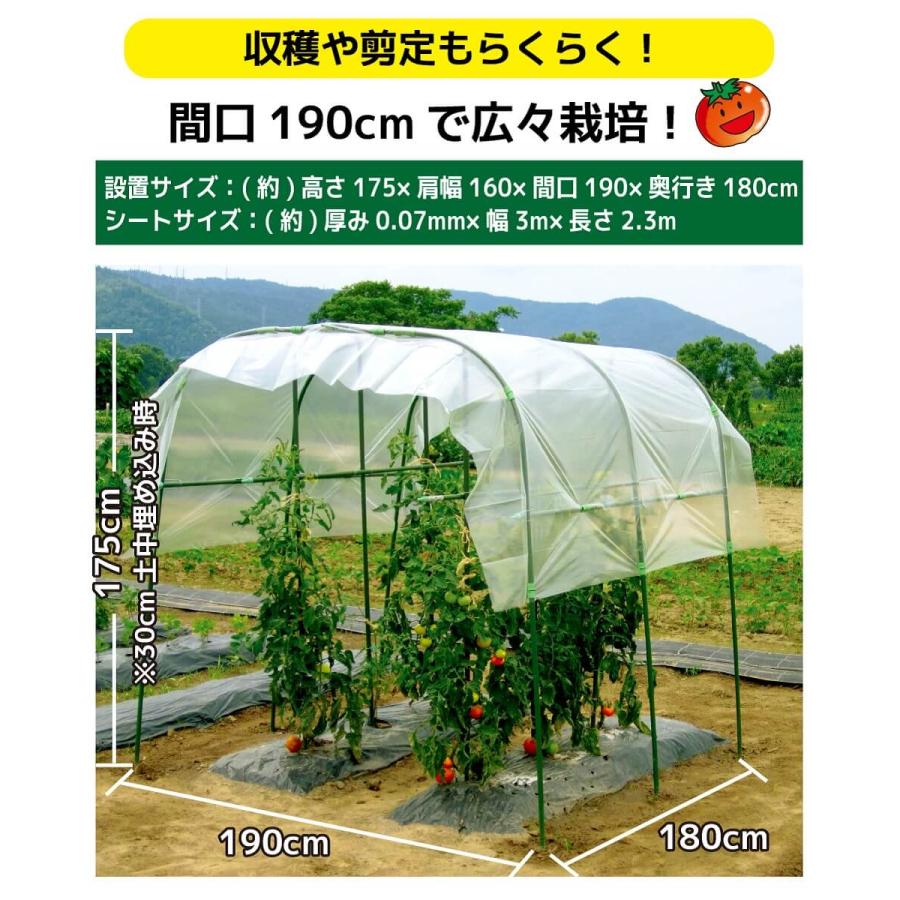 DAIM トマト 雨よけ ハウス ワイド 家庭菜園 4セット パイプ 支柱 雨