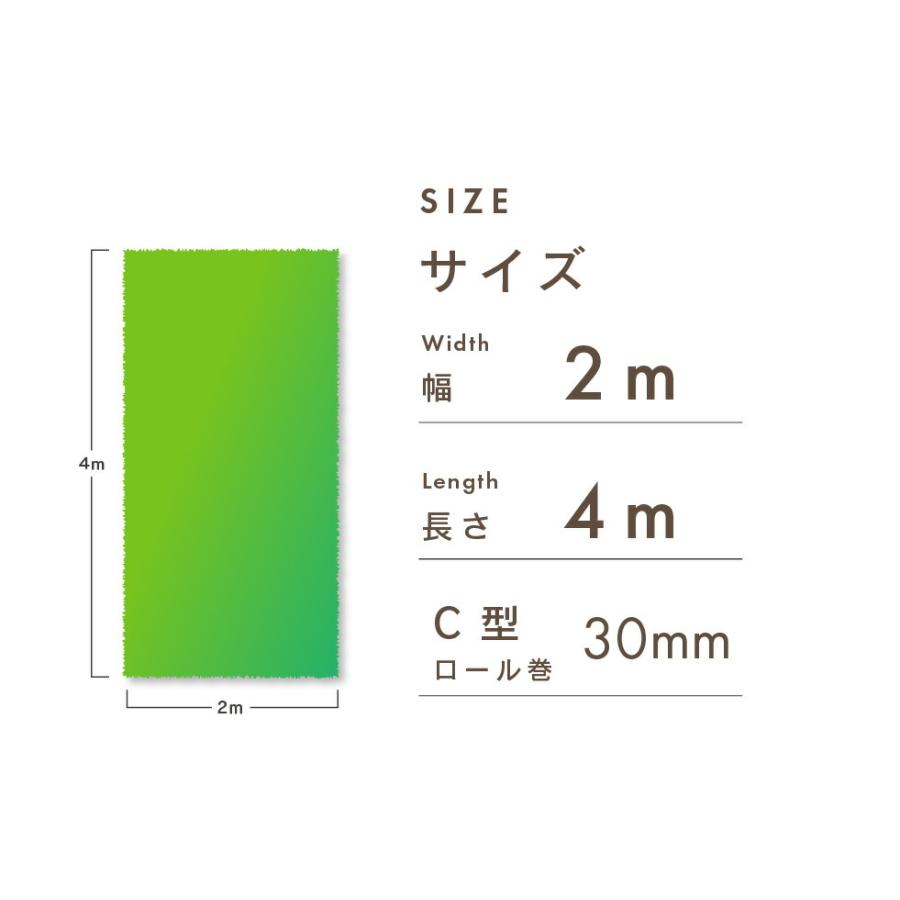 DAIM 人工芝 2m×4m C型 芝丈30mm 人工芝ロール diy 芝生 ドッグラン
