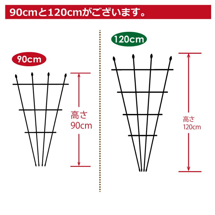 DAIM せんす型トレリス 幅50cm 高さ90cm 薔薇 トレリス フェンス バラ