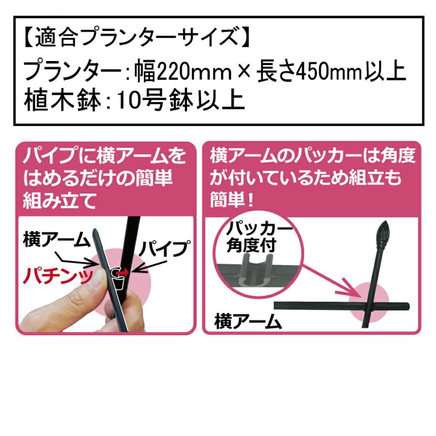 DAIM せんす型トレリス 幅60cm 高さ120cm 薔薇 トレリス フェンス バラ