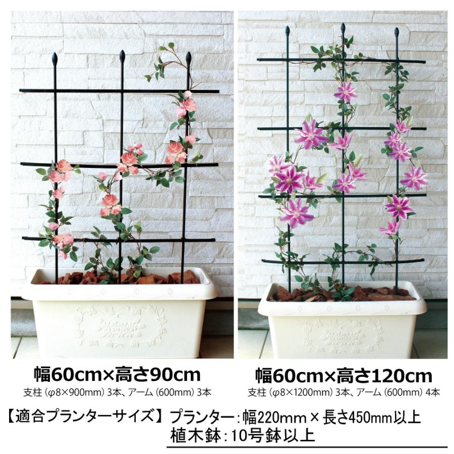 9月上旬入荷予定 Daim 自在型トレリス 幅60cm 高さ1cm つる性植物 薔薇 トレリス バラ ばら プランター ベランダ トレリス 園芸 組み立て不要 メーカー直販 Daim Yahoo 店 通販 Yahoo ショッピング