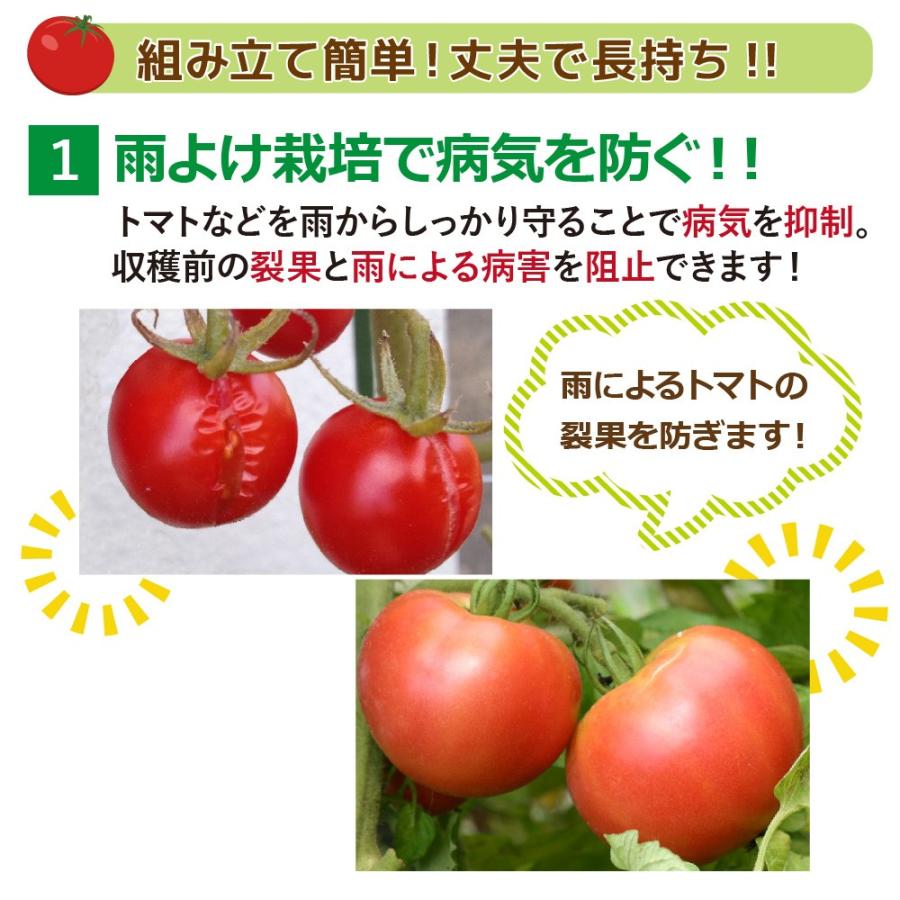 Daim 雨よけセットdx 雨よけ 雨除け トマト 野菜 ビニールハウス 園芸 家庭菜園 霜よけ 防虫 防鳥 送料無料 メーカー直販 Daim Yahoo 店 通販 Yahoo ショッピング