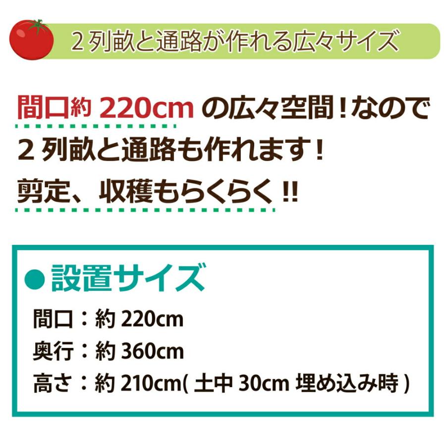 daim 雨よけセット DXワイド 220cm 360cm 雨よけ トマト ぶどう 棚 雨よけ 雨除け トンネル 野菜 ビニールハウス 園芸 家庭菜園 霜よけ 防虫 防鳥 送料無料｜daim-factory｜03