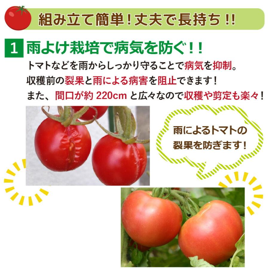 DAIM トマト 雨よけ ハウス 家庭菜園 セット 奥行3.6m 間口220cm