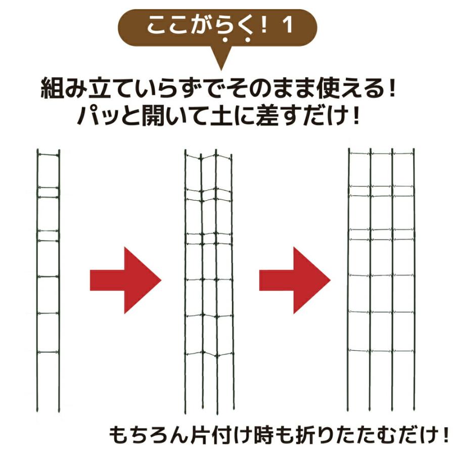 DAIM 野菜棚 棚 高さ120cm +継ぎ足しセット2個 支柱棚 トマト キュウリ