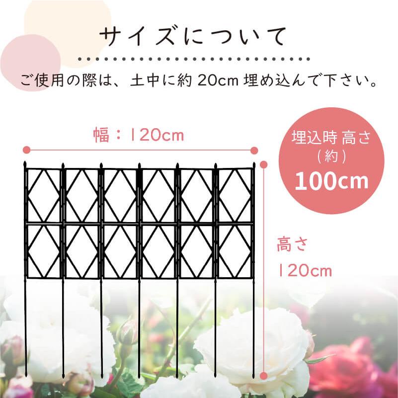 DAIM ローズトレリスワイド 幅120cm 高さ120cm トレリス フェンス バラ