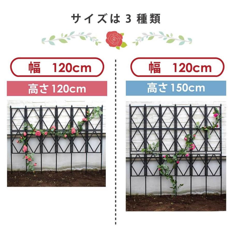 daim ローズトレリスワイド 幅120cm×高さ150cm diy 薔薇 トレリス バラ クレチマス 誘引 つる性 ばら ベランダ 園芸 組み立て不要 フェンス 支柱 送料無料|daim-factory|11