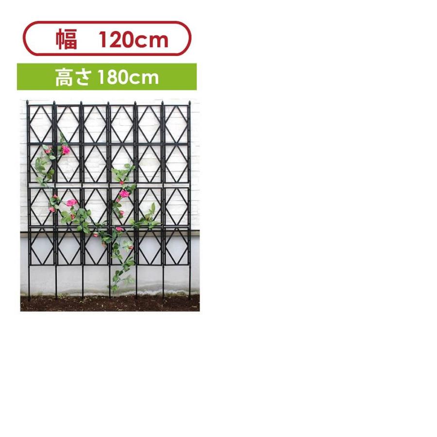 daim ローズトレリスワイド 幅120cm×高さ150cm diy 薔薇 トレリス バラ クレチマス 誘引 つる性 ばら ベランダ 園芸 組み立て不要 フェンス 支柱 送料無料|daim-factory|12
