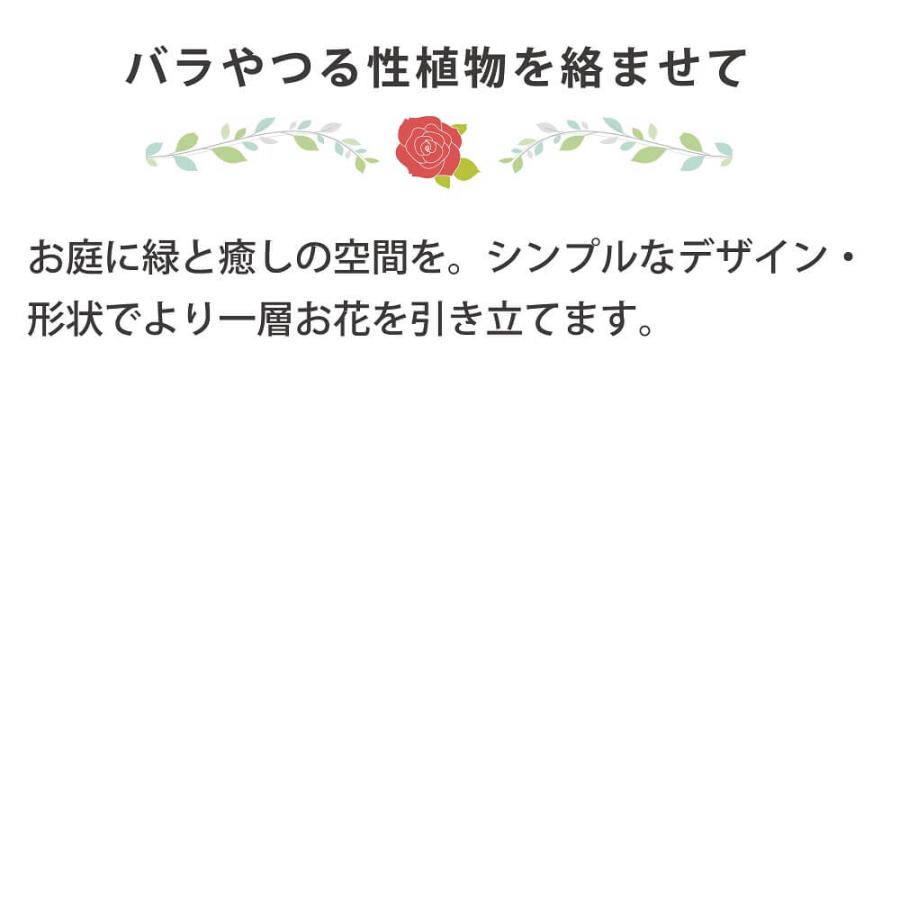daim ローズトレリスワイド 幅120cm×高さ150cm diy 薔薇 トレリス バラ クレチマス 誘引 つる性 ばら ベランダ 園芸 組み立て不要 フェンス 支柱 送料無料|daim-factory|02