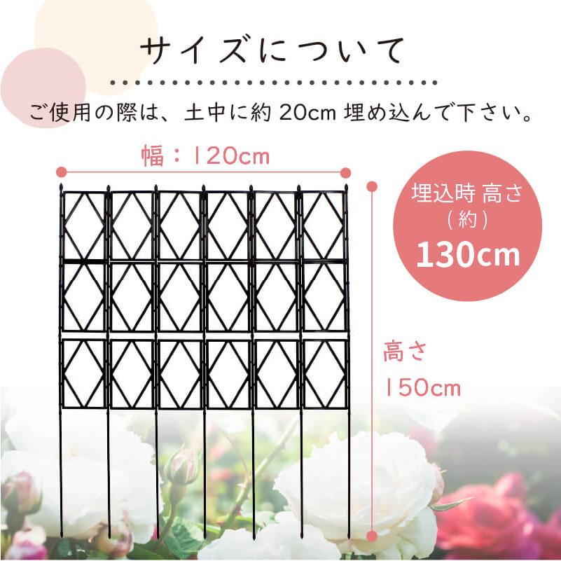 DAIM ローズトレリスワイド 幅120cm 高さ150cm トレリス フェンス バラ