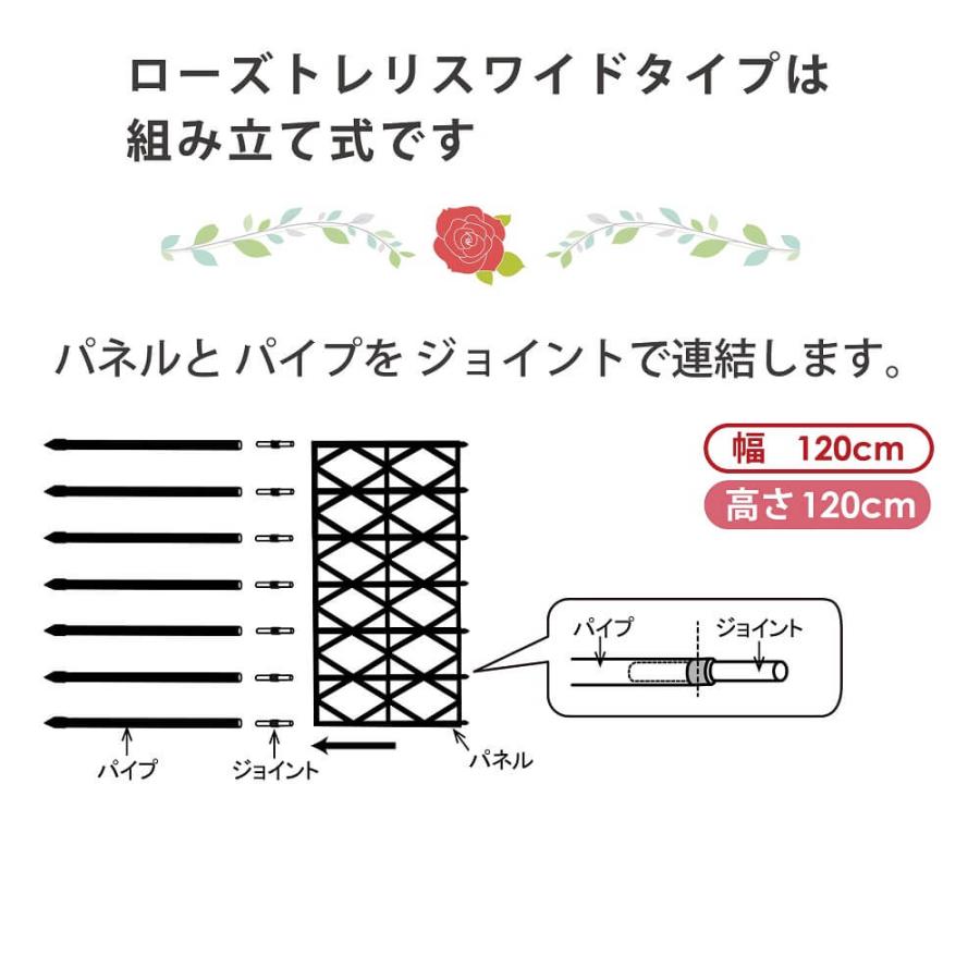 daim ローズトレリスワイド 幅120cm×高さ150cm diy 薔薇 トレリス バラ クレチマス 誘引 つる性 ばら ベランダ 園芸 組み立て不要 フェンス 支柱 送料無料|daim-factory|04