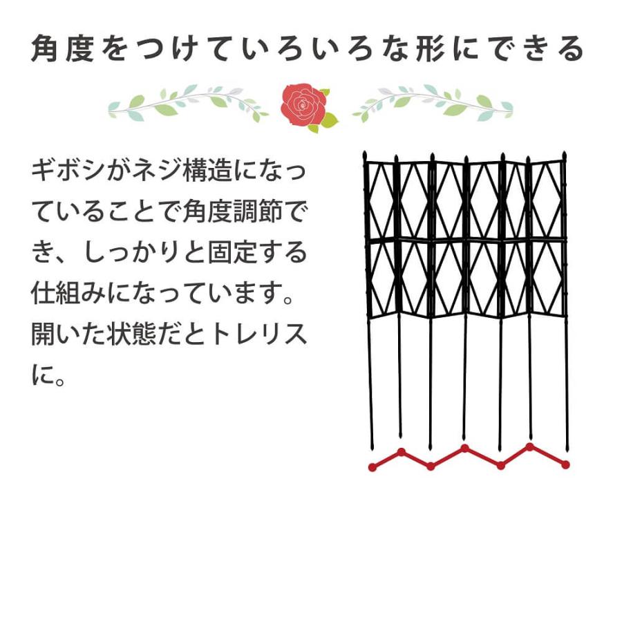 daim ローズトレリスワイド 幅120cm×高さ150cm diy 薔薇 トレリス バラ クレチマス 誘引 つる性 ばら ベランダ 園芸 組み立て不要 フェンス 支柱 送料無料|daim-factory|06