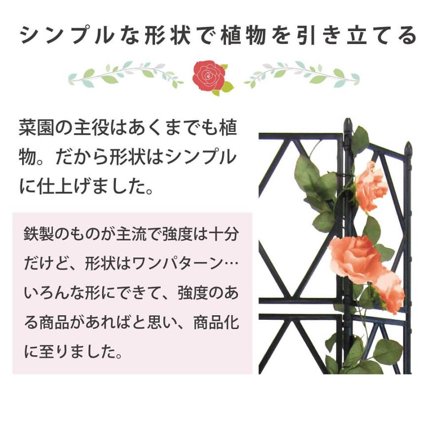 daim ローズトレリスワイド 幅120cm×高さ150cm diy 薔薇 トレリス バラ クレチマス 誘引 つる性 ばら ベランダ 園芸 組み立て不要 フェンス 支柱 送料無料|daim-factory|08
