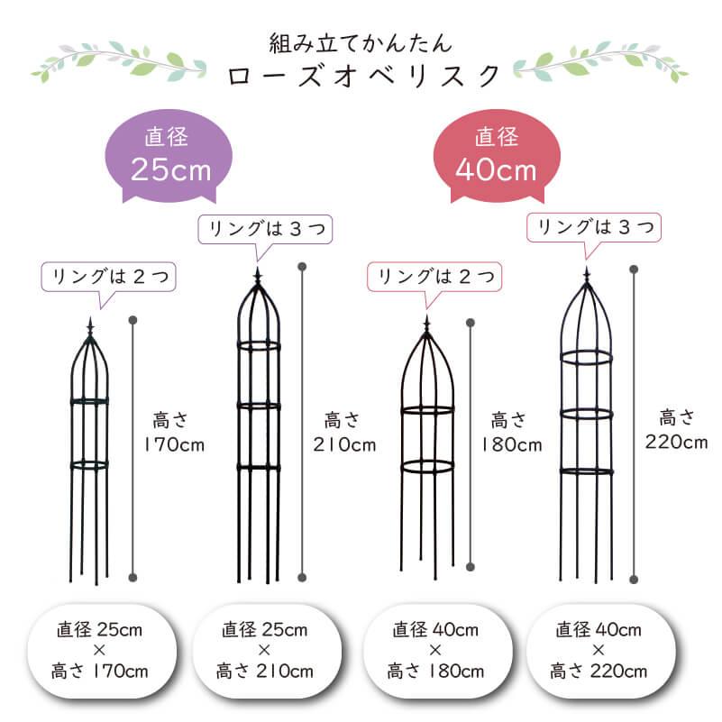 DAIM ローズトレリスワイド 幅120cm 高さ180cm トレリス フェンス バラ