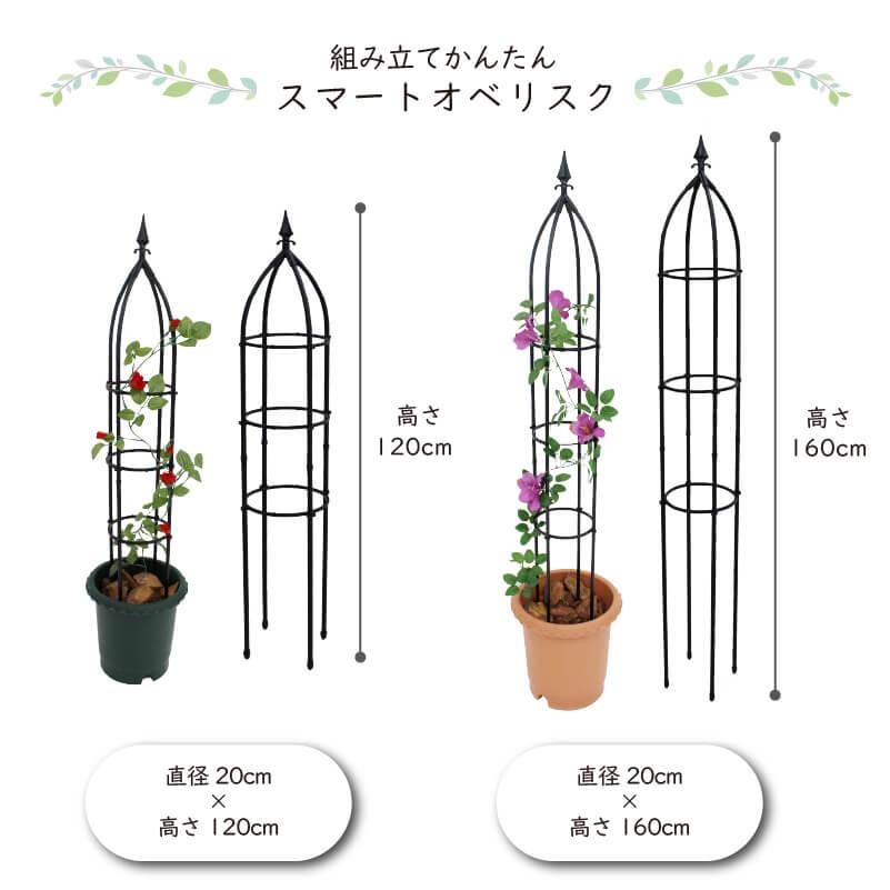 DAIM ローズトレリスワイド 幅120cm 高さ180cm トレリス フェンス バラ