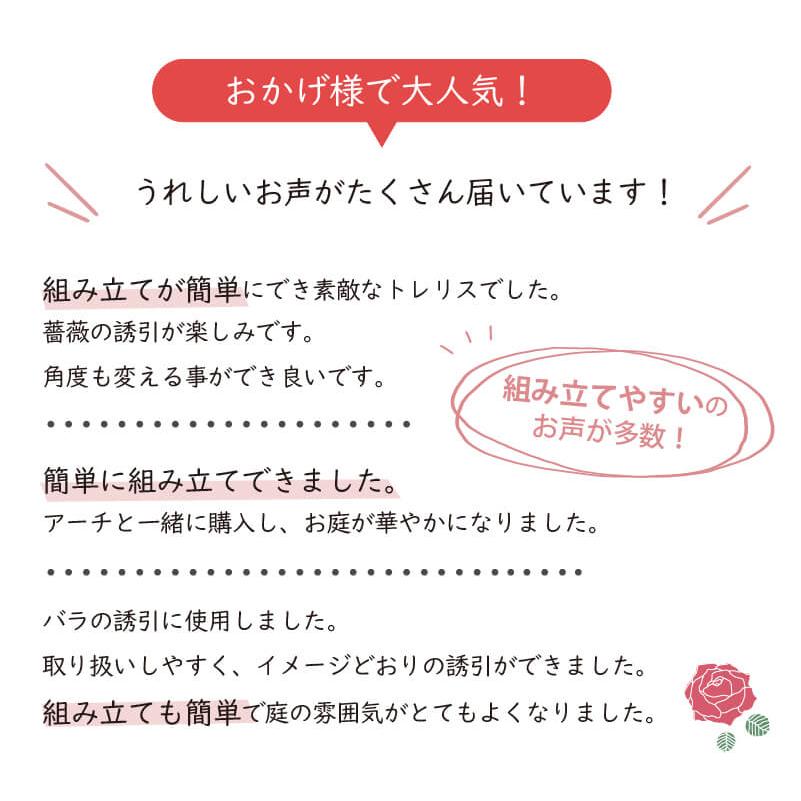 daim ローズトレリスワイド 幅120cm 高さ180cm トレリス フェンス バラ バラのトレリス ばら 薔薇 クレマチス ガーデニング 誘引 つる性 diy 第一ビニール | DAIM | 04