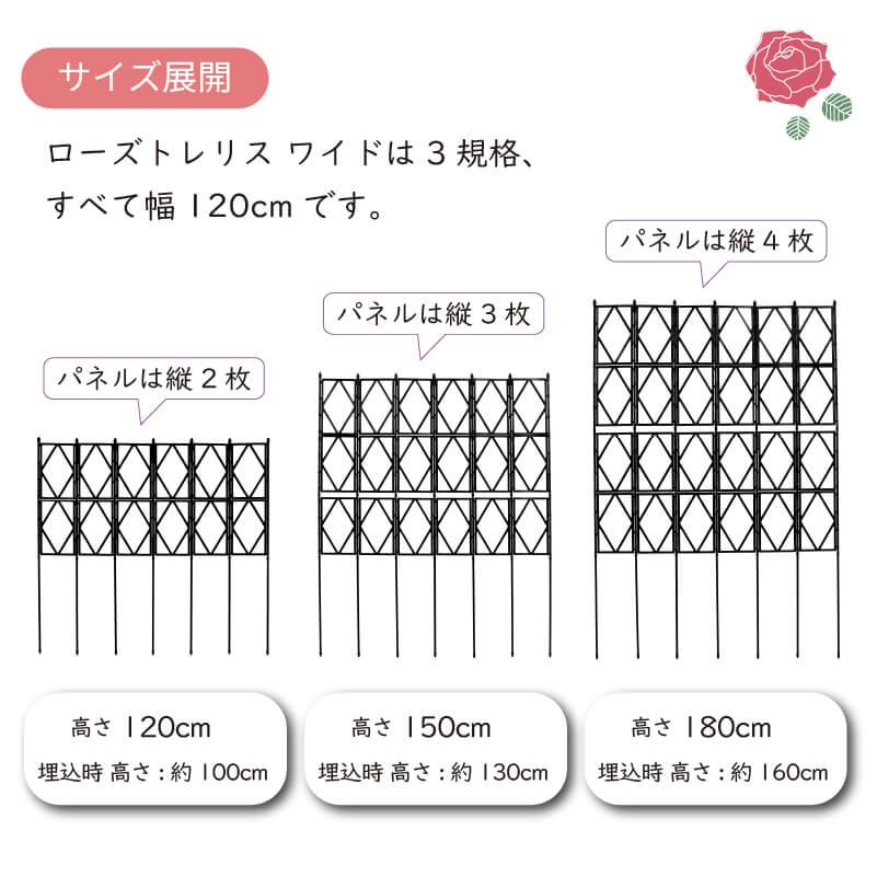 DAIM ローズトレリスワイド 幅120cm 高さ180cm トレリス フェンス バラ
