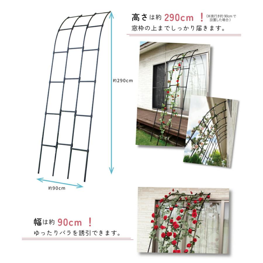 DAIM 壁にたてかけるバラアーチ 高さ 290cm 幅 90cm 立掛け 立てかけ