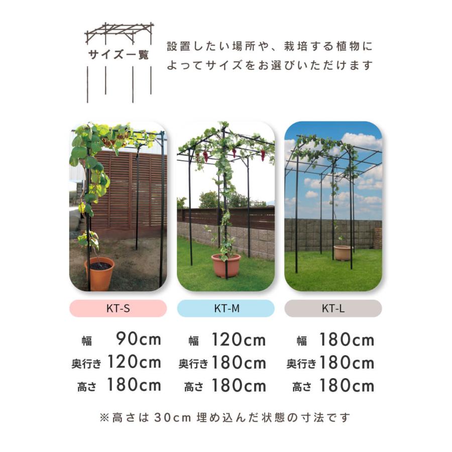 くだもの棚セット KT-L DAIM daim くだもの棚セット KT-L 180 パーゴラ ガーデンアーチ