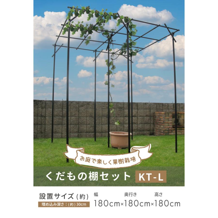 DAIM ぶどう棚 パーゴラ 果樹棚 キウイ棚 KT-L180 ガーデンアーチ diy
