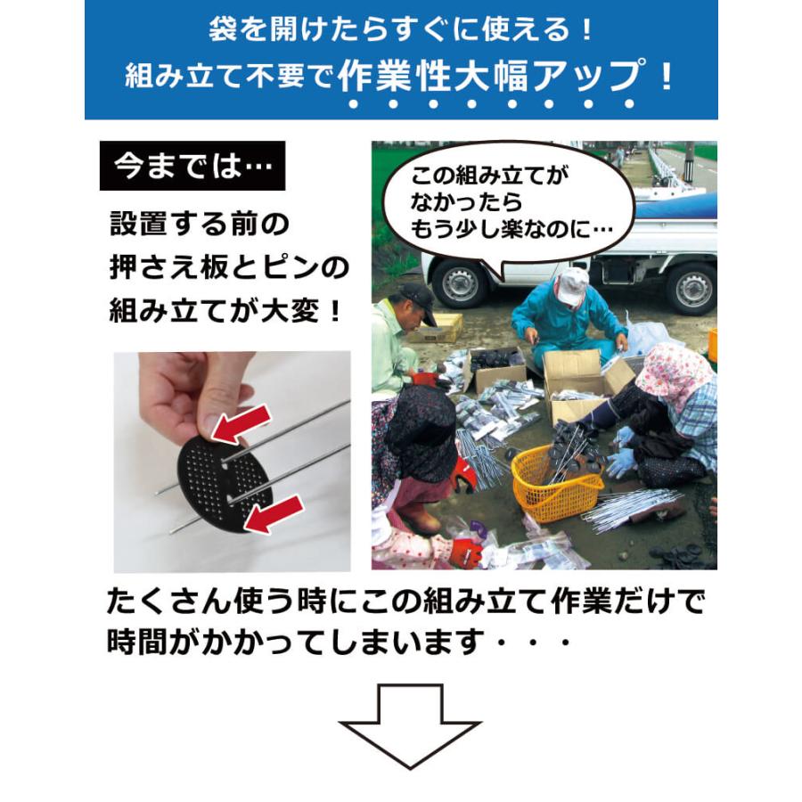 DAIM らくらくシート押さえピン フラットタイプ 長さ20cm 100本入 防草