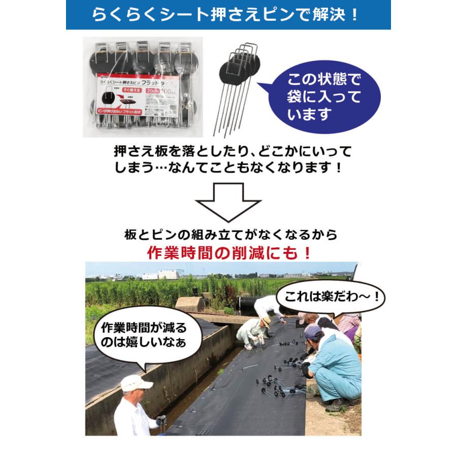 DAIM らくらくシート押さえピン フラットタイプ 長さ20cm 100本入 防草