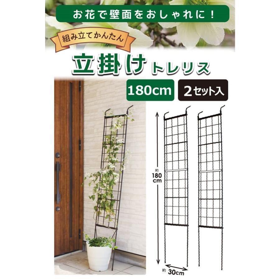 DAIM 組み立てかんたん立掛けトレリス 2セット入 幅30cm 高さ180cm diy
