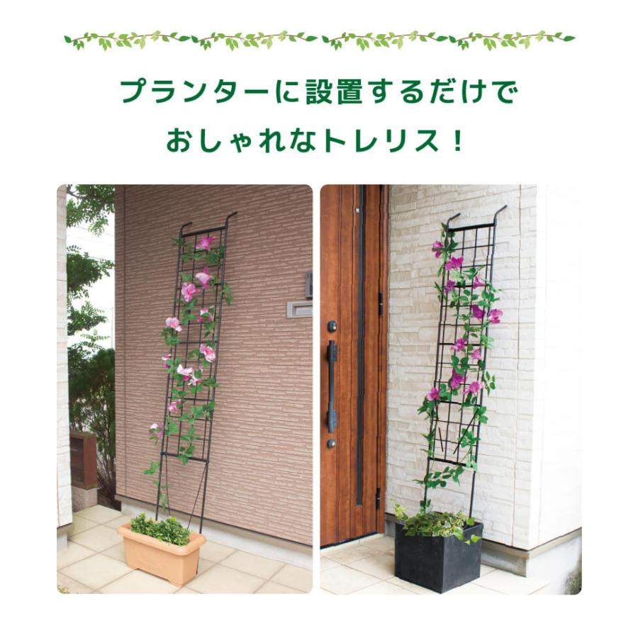 DAIM 組み立てかんたん立掛けトレリス 2セット入 幅30cm 高さ180cm diy