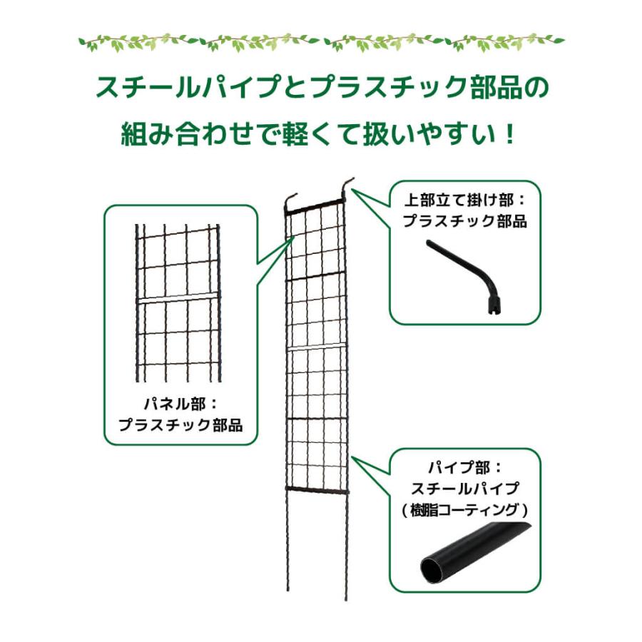 DAIM 組み立てかんたん立掛けトレリス 2セット入 幅30cm 高さ180cm diy