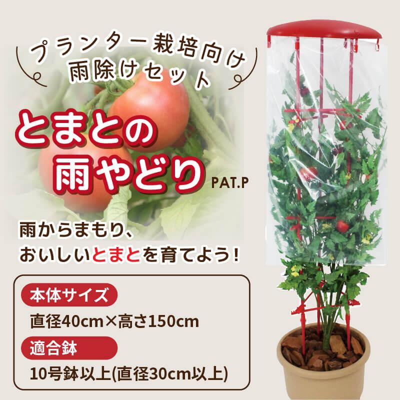 トマト 雨よけ セット 直径40cm×高さ150cm  鉢 プランター とまと 雨除けシート 鳥よけ とまとの雨やどり daim 第一ビニール | DAIM | 01