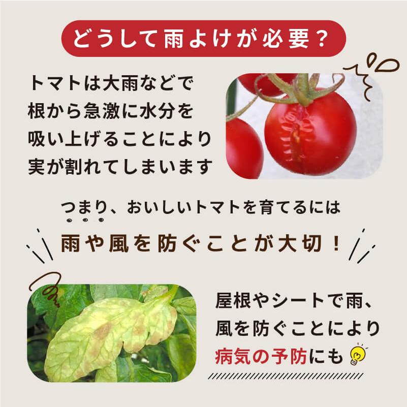 DAIM トマト 雨よけ セット 直径40cm×高さ150cm 鉢 プランター とまと