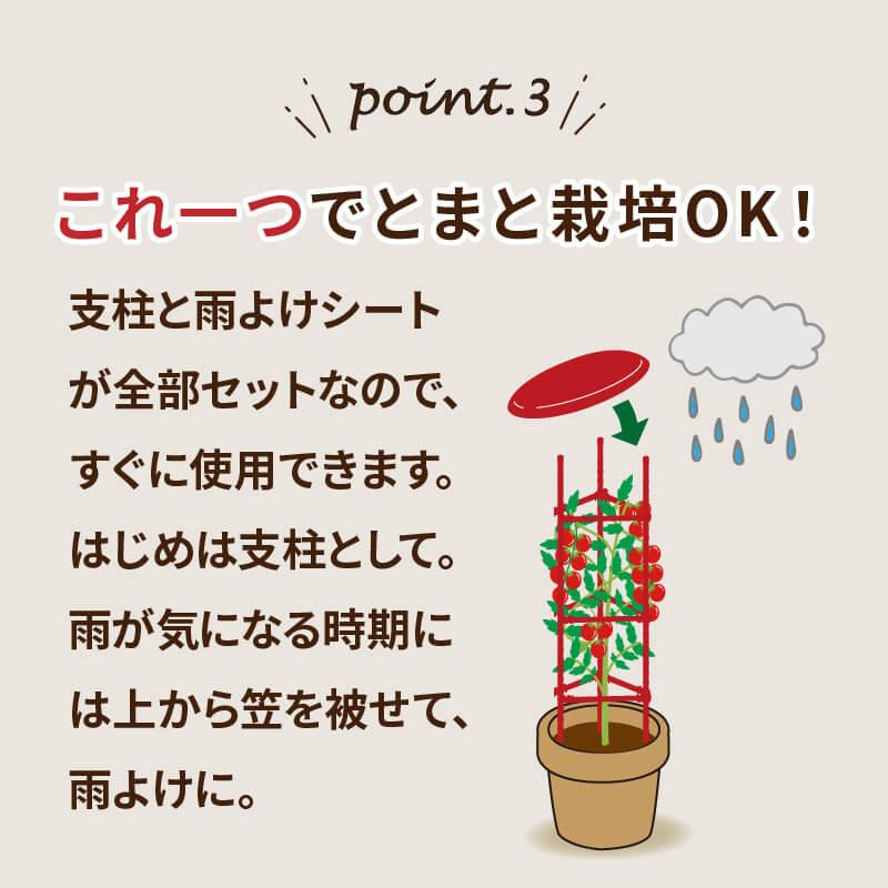 トマト 雨よけ セット 直径40cm×高さ150cm  鉢 プランター とまと 雨除けシート 鳥よけ とまとの雨やどり daim 第一ビニール | DAIM | 05