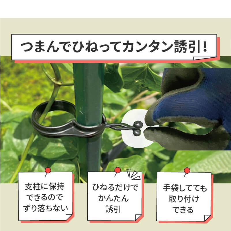 DAIM 茎止め 誘引 茎 16mm支柱用 50個入 クリップ 家庭菜園 野菜