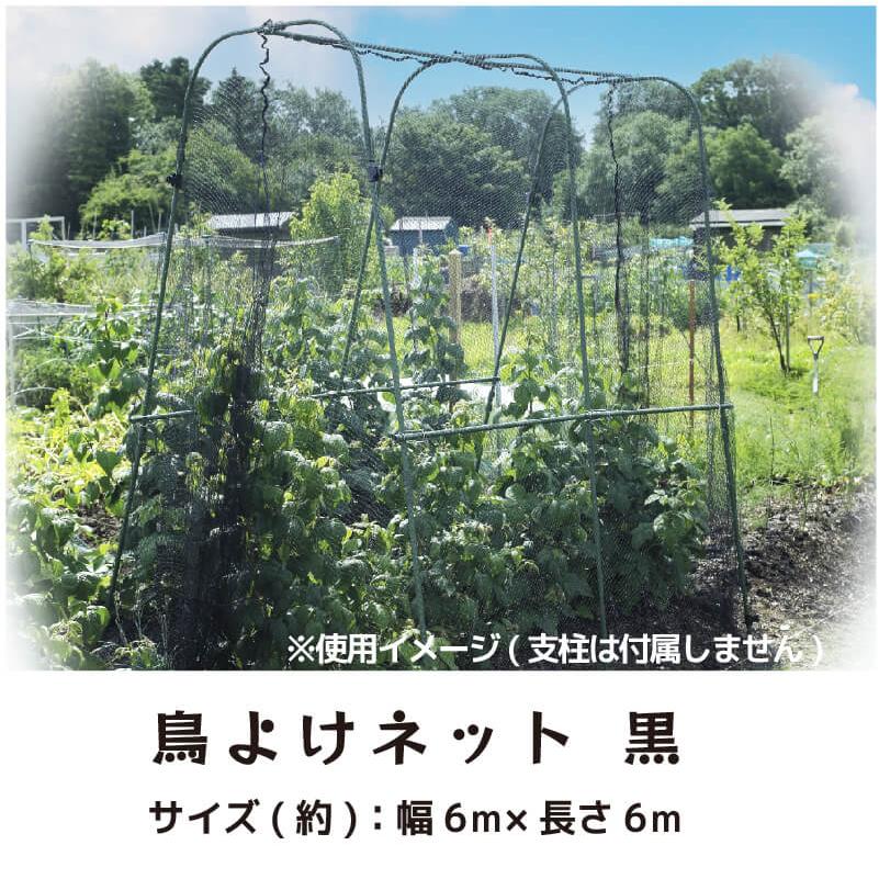 DAIM 鳥よけネット 黒 幅6m×長さ6m 15mm角目 ひも付き 鳥よけ 防鳥