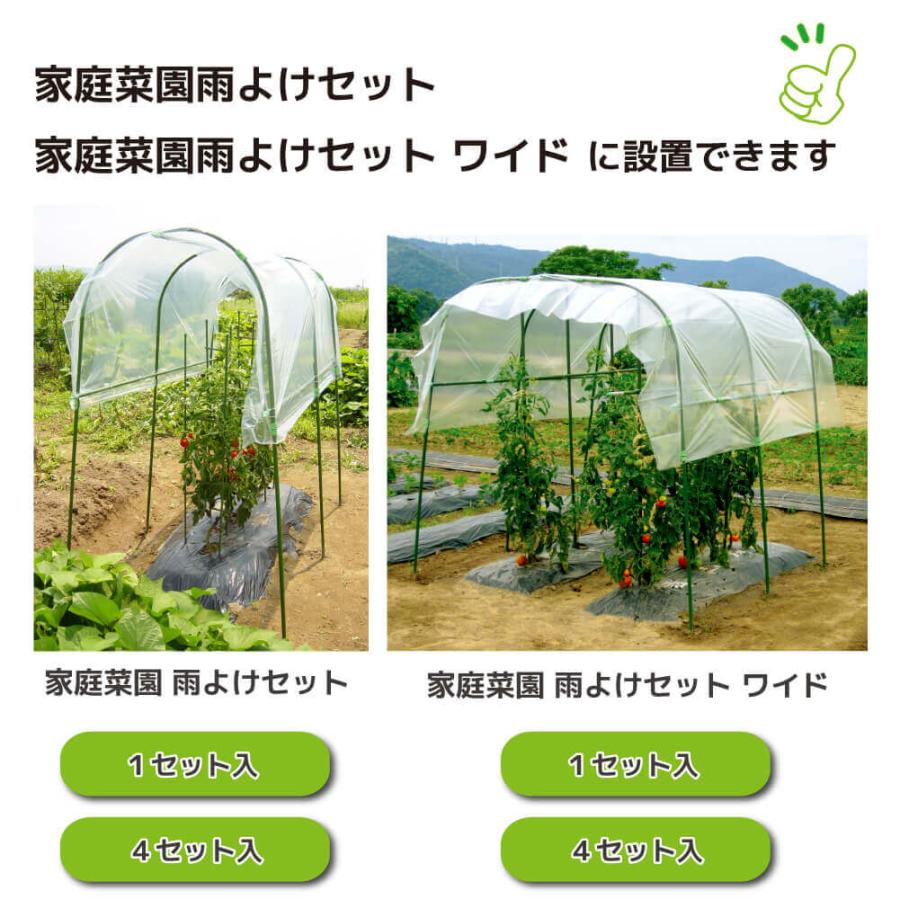 DAIM 鳥よけネット 黒 幅6m×長さ6m 15mm角目 ひも付き 鳥よけ 防鳥