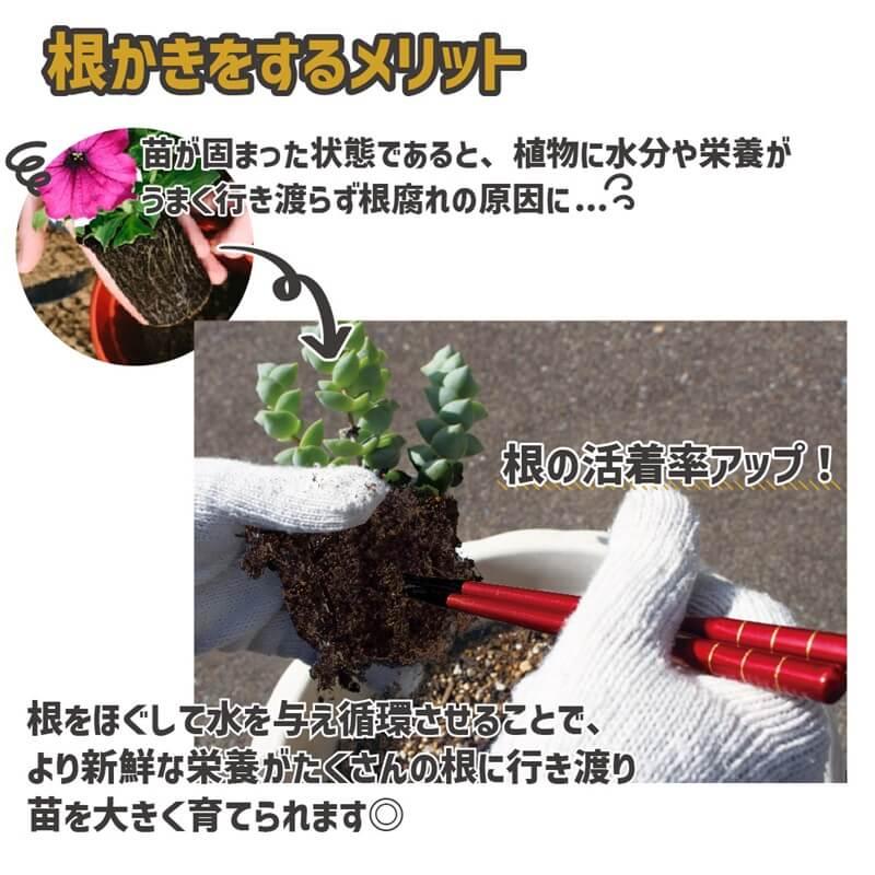 daim シン・根かき棒 1セット入 根かき 植え替え カーメン君 根 植え付け 苗 ほぐす 若狭塗り 輪島  雑草 清掃 お手入れ 第一ビニール | DAIM | 02