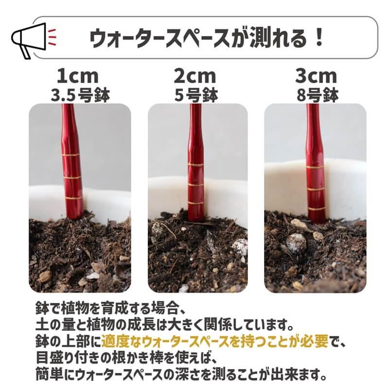 daim シン・根かき棒 1セット入 根かき 植え替え カーメン君 根 植え付け 苗 ほぐす 若狭塗り 輪島  雑草 清掃 お手入れ 第一ビニール | DAIM | 05