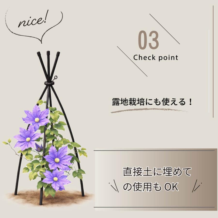 DAIM ブラックベース用トピアリー支柱セット 高さ150cm 3セット 支柱