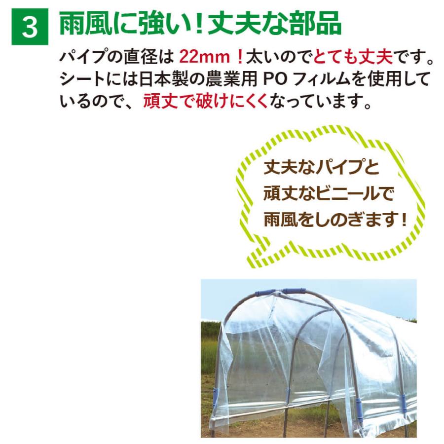 DAIM 雨よけセットDXロング 雨よけ トマト ぶどう 棚 雨よけ 雨除け
