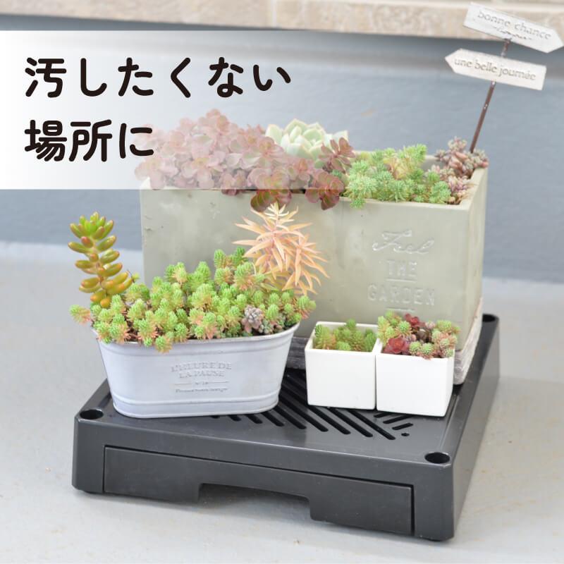 DAIM どこでもブラックベース 24cm 排水トレイ付き 水受け付き 鉢