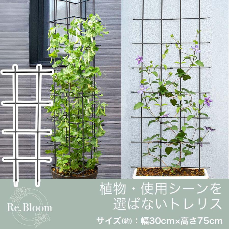 終了【未使用】園芸用トレリス2個セット DAIM Re.Bloom マルチリンクトレリス 幅30cm 高さ75cm クレマチス ユリ