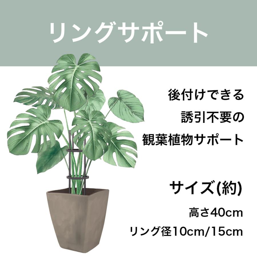 DAIM Re.Bloom リングサポート 全2規格 観葉植物 おしゃれ 葉ダレ 防止