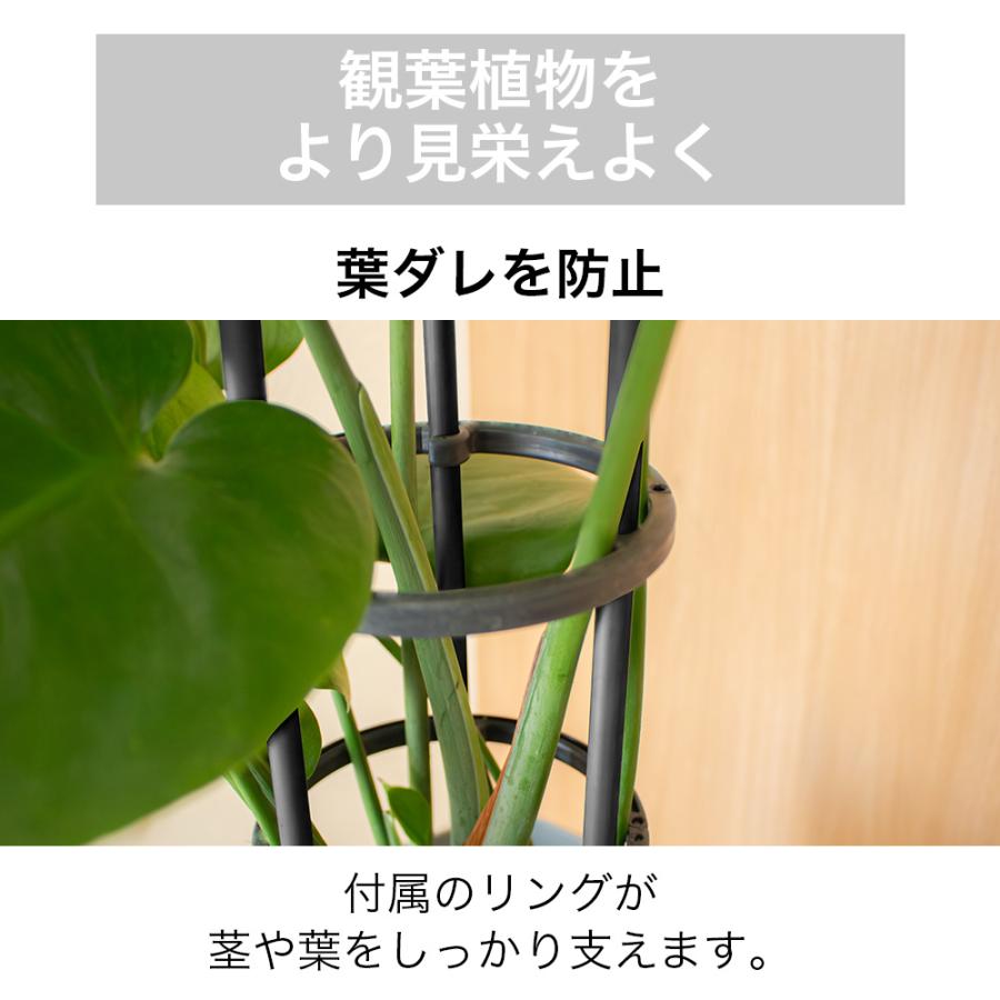 DAIM Re.Bloom リングサポート 全2規格 観葉植物 おしゃれ 葉ダレ 防止