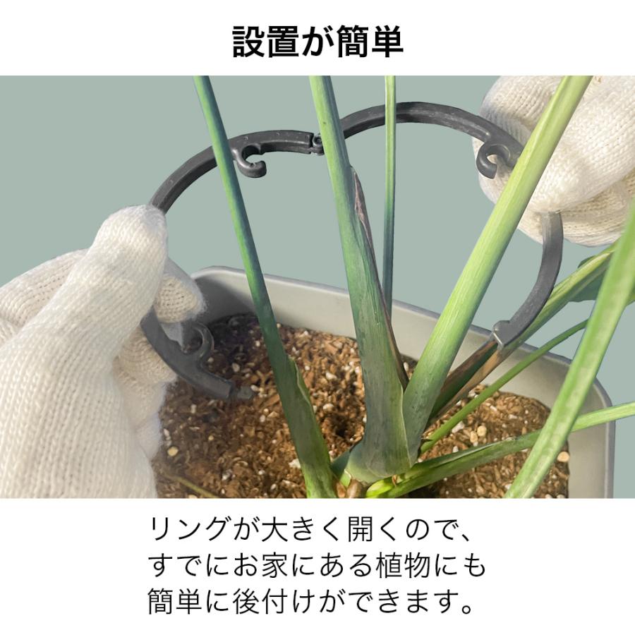 DAIM Re.Bloom リングサポート 全2規格 観葉植物 おしゃれ 葉ダレ 防止