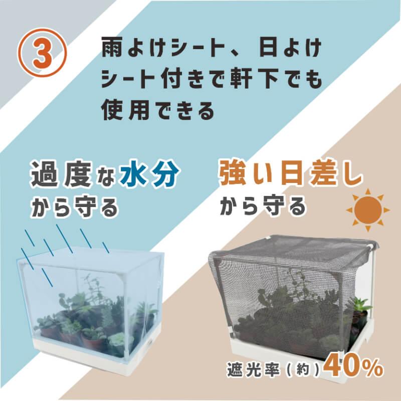 daim 多肉マンション 幅35cm×奥行き27cm×高さ28cm 3セット入り 園芸 カーメン君 多肉植物 観葉植物 冬越し 寄せ植え 棚 苗 室内 温室ハウス 第一ビニール | DAIM | 14