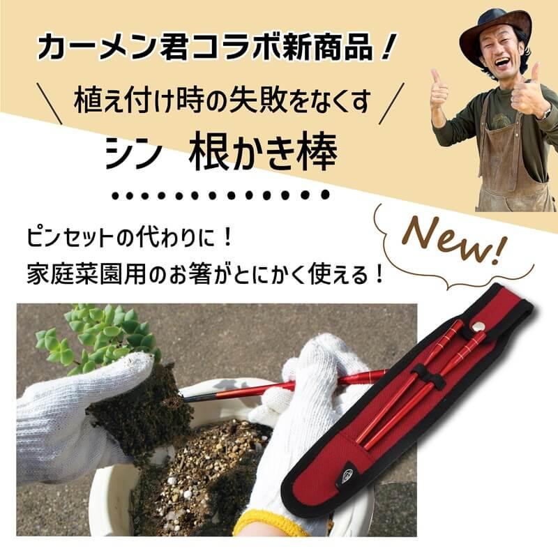 daim 多肉マンション 幅35cm×奥行き27cm×高さ28cm 3セット入り 園芸 カーメン君 多肉植物 観葉植物 冬越し 寄せ植え 棚 苗 室内 温室ハウス 第一ビニール | DAIM | 21