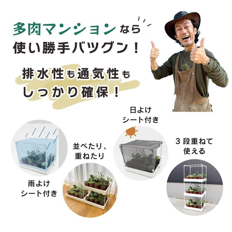 daim 多肉マンション 幅35cm×奥行き27cm×高さ28cm 3セット入り 園芸 カーメン君 多肉植物 観葉植物 冬越し 寄せ植え 棚 苗 室内 温室ハウス 第一ビニール | DAIM | 08