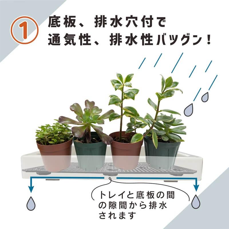 daim 多肉マンション 幅35cm×奥行き27cm×高さ28cm 3セット入り 園芸 カーメン君 多肉植物 観葉植物 冬越し 寄せ植え 棚 苗 室内 温室ハウス 第一ビニール | DAIM | 09