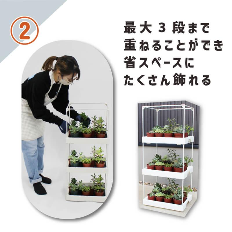 daim 多肉マンション 幅35cm×奥行き27cm×高さ28cm 3セット入り 園芸 カーメン君 多肉植物 観葉植物 冬越し 寄せ植え 棚 苗 室内 温室ハウス 第一ビニール | DAIM | 12